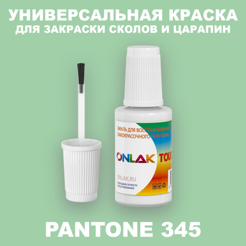 PANTONE 345 C КРАСКА ДЛЯ СКОЛОВ, флакон с кисточкой