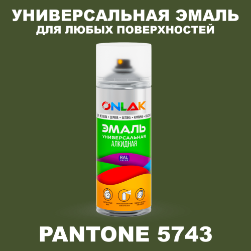 Аэрозольная краска ONLAK, цвет PANTONE 5743 C, спрей 520мл
