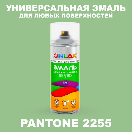 Аэрозольная краска ONLAK, цвет PANTONE 2255 C, спрей 520мл
