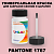 PANTONE 1767 C КРАСКА ДЛЯ СКОЛОВ, матовая, флакон 50мл с кисточкой