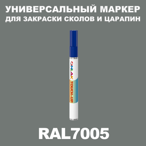 RAL 7005   