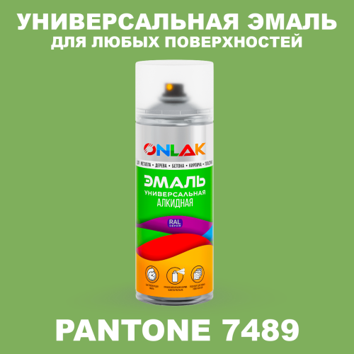Аэрозольная краска ONLAK, цвет PANTONE 7489 C, спрей 520мл