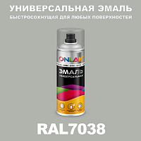 Универсальная быстросохнущая эмаль ONLAK, цвет RAL7038, спрей 400мл