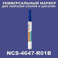 NCS 4647-R01B   