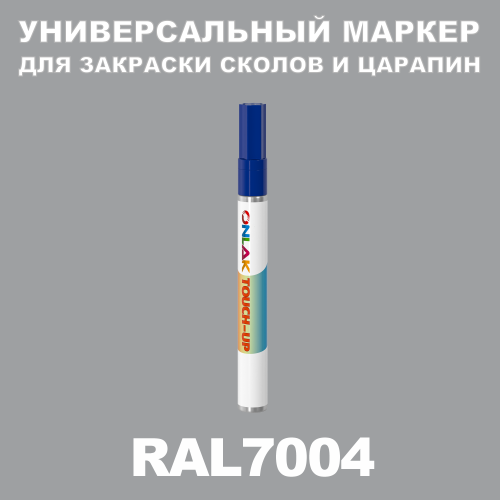 RAL 7004   