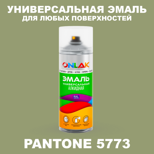Аэрозольная краска ONLAK, цвет PANTONE 5773 C, спрей 520мл