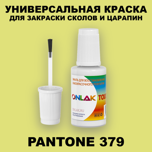 PANTONE 379 C КРАСКА ДЛЯ СКОЛОВ, флакон с кисточкой