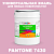 Краска цвет PANTONE 7430 C, 20кг