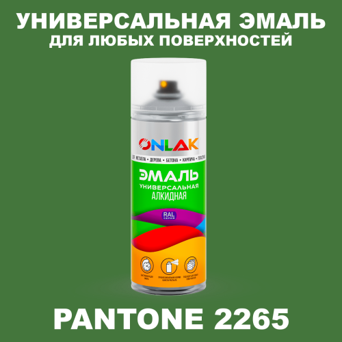 Аэрозольная краска ONLAK, цвет PANTONE 2265 C, спрей 520мл