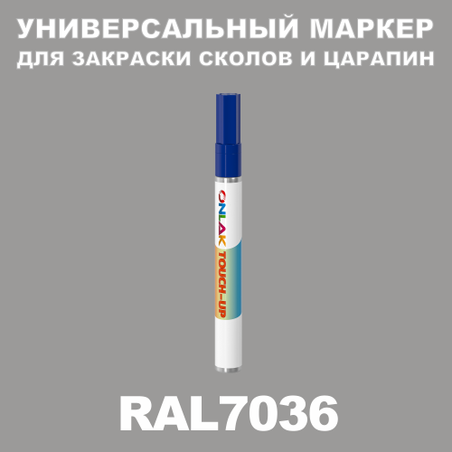 RAL 7036   