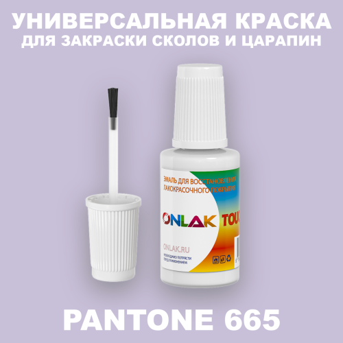 PANTONE 665 C КРАСКА ДЛЯ СКОЛОВ, флакон с кисточкой