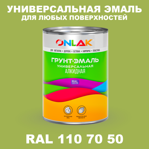 Краска цвет RAL DESIGN 1107050