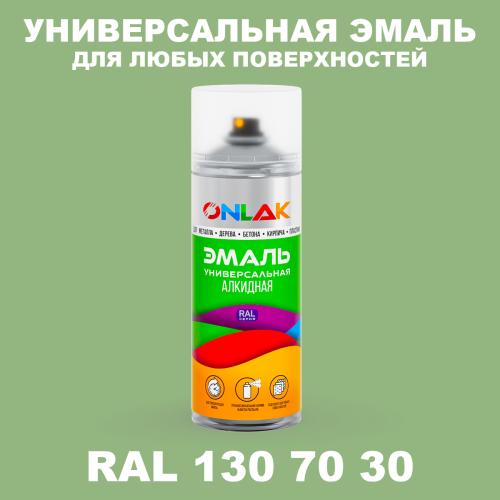 Аэрозольная краска, цвет RAL Design 1307030, спрей 520мл