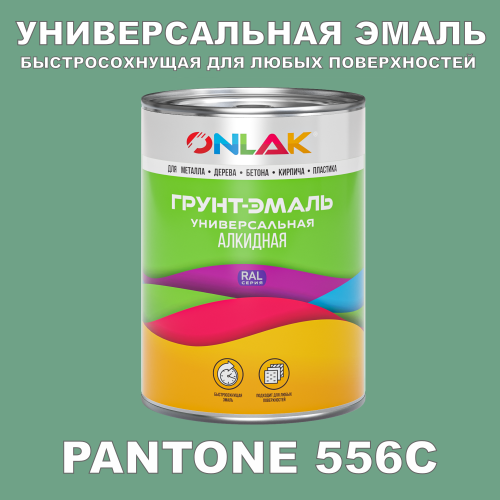 Краска цвет PANTONE 556C