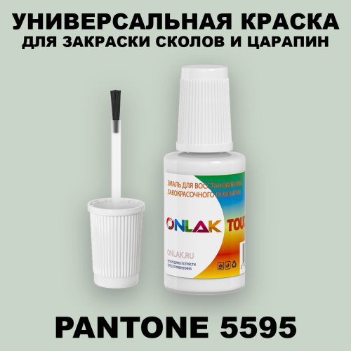 PANTONE 5595 C КРАСКА ДЛЯ СКОЛОВ, флакон с кисточкой
