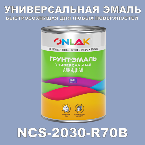 Краска цвет NCS 2030-R70B