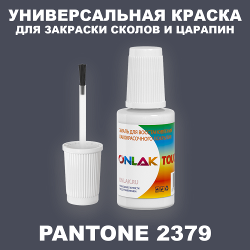 PANTONE 2379 C КРАСКА ДЛЯ СКОЛОВ, флакон с кисточкой