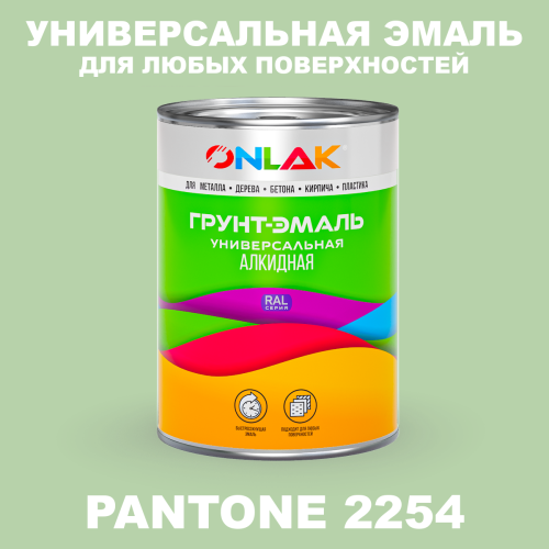 Краска цвет PANTONE 2254 C