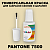 PANTONE 7500 C КРАСКА ДЛЯ СКОЛОВ, полуматовая, флакон 20мл с кисточкой