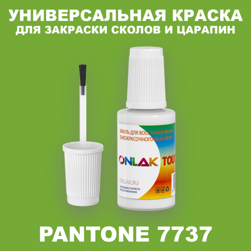 PANTONE 7737 C КРАСКА ДЛЯ СКОЛОВ, флакон с кисточкой