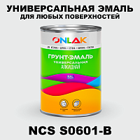 Краска цвет NCS S0601-B