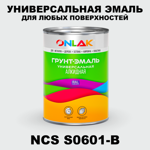 Краска цвет NCS S0601-B