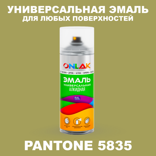 Аэрозольная краска ONLAK, цвет PANTONE 5835 C, спрей 520мл
