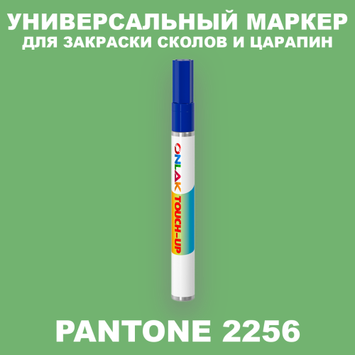 PANTONE 2256 C МАРКЕР С КРАСКОЙ