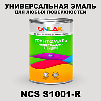 Краска цвет NCS S1001-R