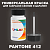 PANTONE 412 C КРАСКА ДЛЯ СКОЛОВ, полуматовая, флакон 50мл с кисточкой