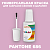 PANTONE 686 C КРАСКА ДЛЯ СКОЛОВ, матовая, флакон 20мл с кисточкой