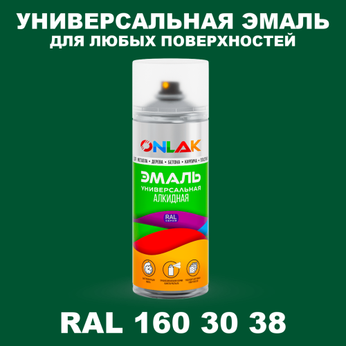 Аэрозольная краска, цвет RAL Design 1603038, спрей 520мл