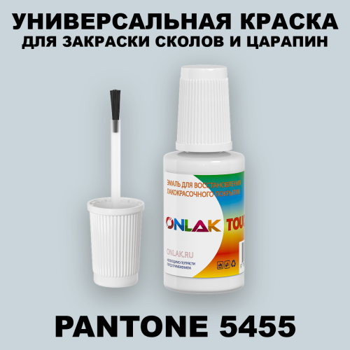 PANTONE 5455 C КРАСКА ДЛЯ СКОЛОВ, флакон с кисточкой