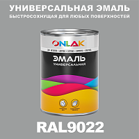 Универсальная быстросохнущая эмаль ONLAK, цвет RAL9022, в комплекте с растворителем