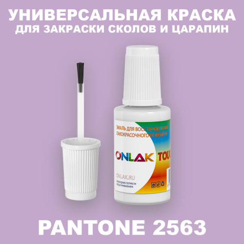 PANTONE 2563 C КРАСКА ДЛЯ СКОЛОВ, флакон с кисточкой