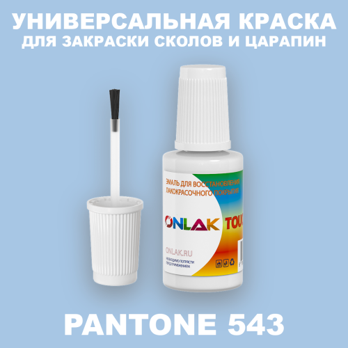 PANTONE 543 C КРАСКА ДЛЯ СКОЛОВ, флакон с кисточкой