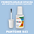 PANTONE 543 C КРАСКА ДЛЯ СКОЛОВ, матовая, флакон 20мл с кисточкой