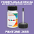 PANTONE 2655 C КРАСКА ДЛЯ СКОЛОВ, матовая, флакон 50мл с кисточкой