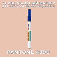 PANTONE 489C   