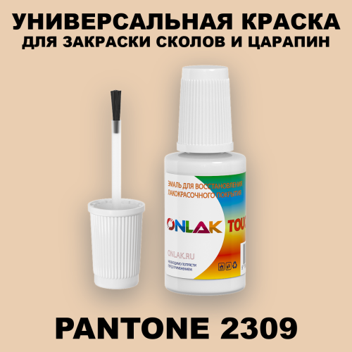 PANTONE 2309 C КРАСКА ДЛЯ СКОЛОВ, флакон с кисточкой