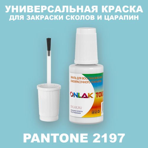 PANTONE 2197 C КРАСКА ДЛЯ СКОЛОВ, флакон с кисточкой