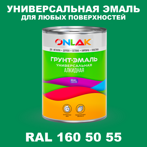 Краска цвет RAL DESIGN 1605055