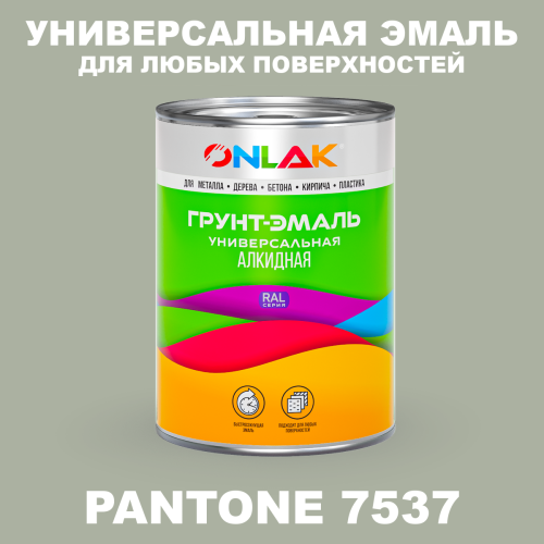 Краска цвет PANTONE 7537 C