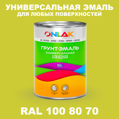 Краска цвет RAL DESIGN 1008070