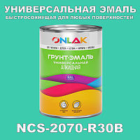 Краска цвет NCS 2070-R30B