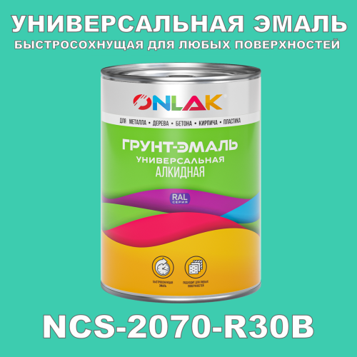 Краска цвет NCS 2070-R30B