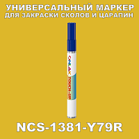 NCS 1381-Y79R   