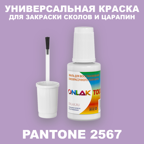 PANTONE 2567 C КРАСКА ДЛЯ СКОЛОВ, флакон с кисточкой