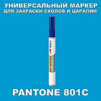 PANTONE 801C МАРКЕР С КРАСКОЙ