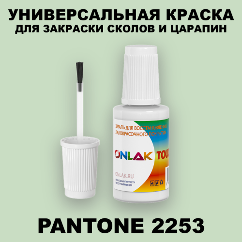 PANTONE 2253 C КРАСКА ДЛЯ СКОЛОВ, флакон с кисточкой